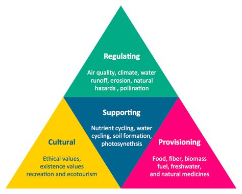 PYRAMID - cosystem goods and services Hydrological Cycle, Ecosystem Services, Laws Of Nature, Forest Ecosystem, Carbon Sequestration, Cash Crop, Food Web, Spiritual Experience, Global Recipes