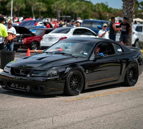 All black everything ! 💀🐍🔥 owner 👉🏼 @svt_reese ✖️✖️✖️✖️✖️✖️✖️✖️✖️✖️✖️✖️✖️✖️✖️✖️… 2003 Ford Mustang Gt, Black Mustang Gt, 2003 Mustang, Sn95 Mustang, Ford Mustang Saleen, New Edge Mustang, 2000 Ford Mustang, 2003 Ford Mustang, Ford Mustang Bullitt