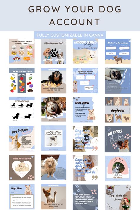 Instagram Dog Post Ideas, Dog Social Media Post Ideas, Dog Instagram Post Ideas, Dog Content Ideas, Dog Sitting Business, Dog Marketing, Dog Template, Pet Branding, Dog Instagram