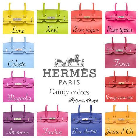 Hermes Birkin Colours, Hermes Colors, Birken Bag, Birkin Handbags, Handbag Storage, Roshe Run, Handbag Outfit, Red Handbag, Luxury Purses