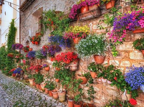 Creating a Hanging Italian Wall Garden - GRAND VOYAGE ITALY Wall Planters Outdoor, Italian Flowers, Hanging Flower Pots, Flower Pots Outdoor, Walled Garden, Italian Garden, Mediterranean Garden, Wall Garden, Courtyard Garden