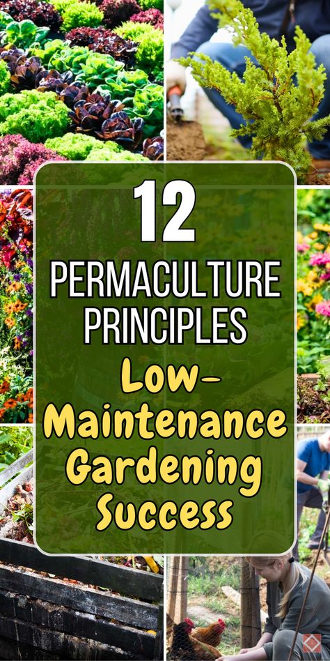 Discover how to grow more food with less effort using these 12 permaculture principles for low-maintenance gardening. Perfect for beginners or experienced gardeners, these sustainable strategies are designed to work with nature, reducing the need for constant maintenance while maximizing productivity. Save this pin for a guide to garden design that prioritizes efficiency and sustainability—grow your garden with less effort today! Polyculture Garden, Permaculture Garden Design, Nitrogen Fixing Plants, Permaculture Principles, Creative Landscaping, Sustainable Gardening, Permaculture Gardening, Permaculture Design, Natural Ecosystem