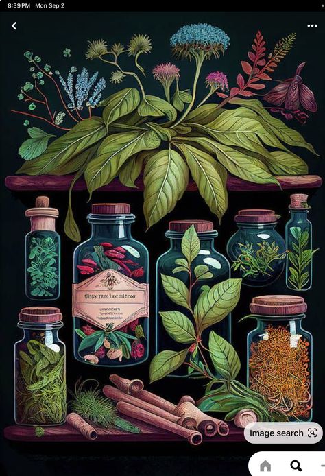 Herbal Apothecary Aesthetic, Apothecary Aesthetic, Herbal Apothecary, Green Witch, Digital Watercolor, Fractal Art, Tag Art, Botanical Illustration, Book Of Shadows