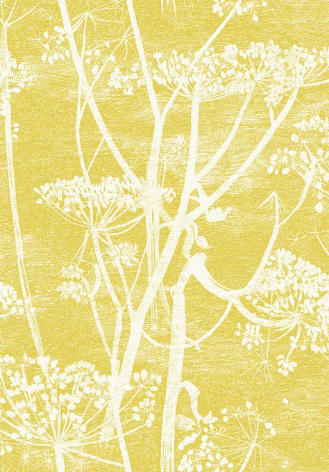 Cole Son Wallpaper, Son Wallpaper, Cole And Son Wallpaper, Cow Parsley, Classic Wallpaper, Interior Wallpaper, Contemporary Wallpaper, Contemporary Fabric, Wallpaper Direct