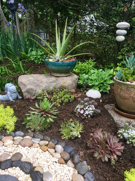 Garden On Side Of House, Woodland Fire Pit, Hill Side Garden, Side Garden Ideas, Rock Bed, Florida Garden, Succulent Landscaping, Rock Garden Design, Side Garden