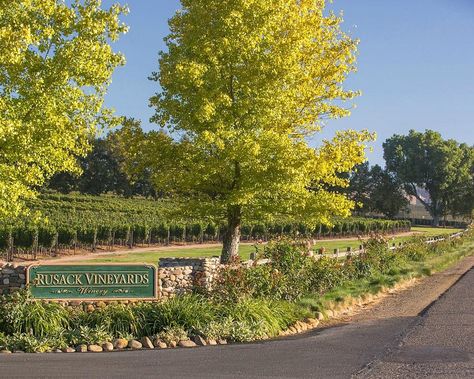 Santa Ynez Wineries, Solvang California, California Winery, Santa Ynez Valley, Santa Ynez, Horse Ranch, Wine Tour, Da Nang, Picnic Area