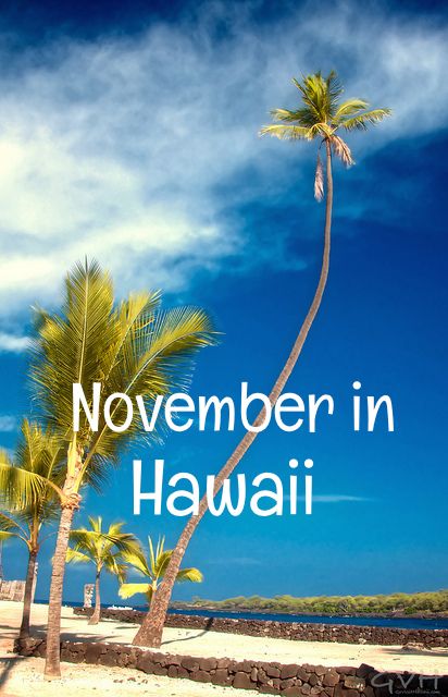 If you are considering a Hawaii vacation in November, you may want to examine all the important factors, such as weather, costs, crowds and special events. We'll look at each of those factors in detail to help you decide whether November is the best month for your visit to Hawaii. What's the... Best November Vacations, Hawaii In November, Beach Photography Friends, Beautiful Beaches Paradise, Hawaiian Cruises, Best Island Vacation, Lanai Island, Fiji Travel, Hawaii Holiday