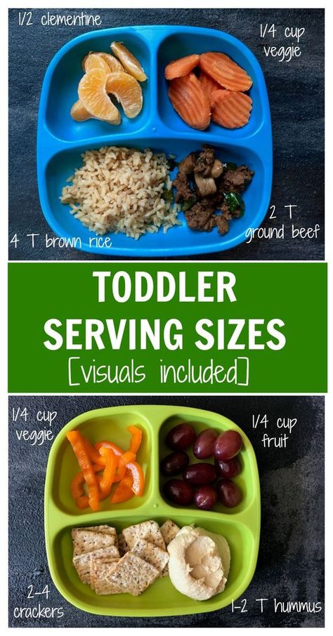 Learn what and how much your toddler should be eating with actual pictures of toddler serving sizes. @MomNutrition Mom To Mom, Toddler Nutrition, Toddler Snack, Easy Toddler Meals, Serving Sizes, Different Foods, Breakfast Low Carb, Toddler Lunches, Toddler Stuff