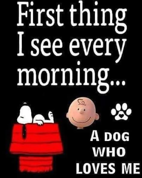 Good Morning Dogs, Nite Quotes, Snoopy Good Morning, Good Morning Friend, Morning Friend, Snoopy Tattoo, Charlie Brown Quotes, Good Morning Snoopy, Dog Poems