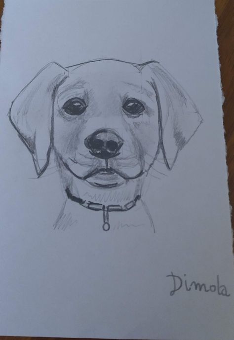 Dog Sketch Easy, Dog Pencil Drawing, Dog Illustration Art, Dog Drawing Tutorial, Puppy Drawing, Animal Drawings Sketches, Pencil Sketch Images, Easy Love Drawings, Dog Sketch