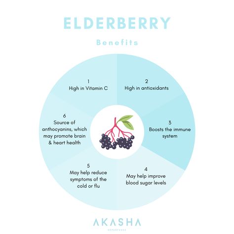 Anthocyanin Benefits, Elderberry Health Benefits, Benefits Of Elderberry, Elderberry Benefits, Elderberry Tea, Brain System, Sea Moss Gel, Healthy Holistic Living, Purple Sea