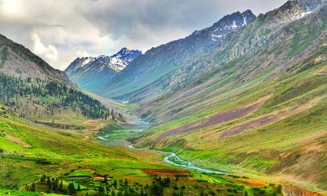 Deosai National Park, Pakistan Travel, Gilgit Baltistan, Clear Lake, Tourist Destinations, Hidden Gems, Vacation Spots, Breathtaking Views, Trip Advisor