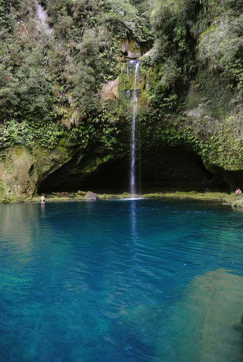 Omanawa Falls, New Zealand.  New Zealands Bay of Plenty Bay Of Plenty New Zealand, Nohkalikai Falls, New Zealand Waterfalls, Pagsanjan Falls, Waimano Falls Oahu, Lake Wakatipu New Zealand, Bay Of Plenty, Tree Roots, New Zealand