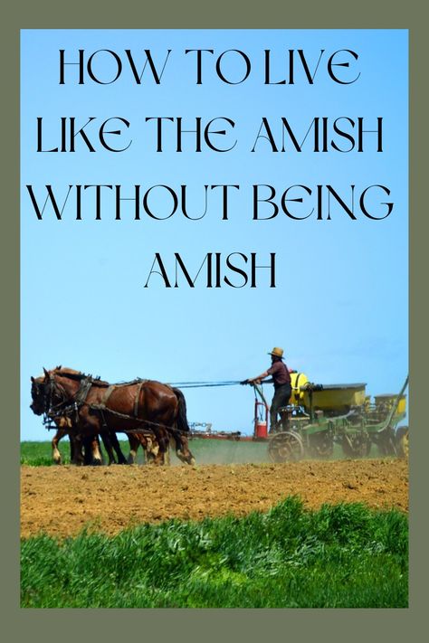 Amish farmer working in the field with horses Simple Life Living, Amish Living Lifestyle, Amish Ways Of Living, How To Live Like The Amish, Amish Lifestyle Ideas, Amish Cleaning Hacks, Slow Living Recipes, Amish Skills, Amish Diy