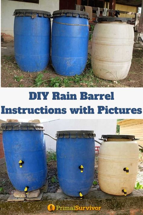 Diy Rain Barrel, Water From Air, Water Barrel, Rain Collection, Rainwater Harvesting, Water Collection, Rain Barrel, Rain Water Collection, Gardening Advice