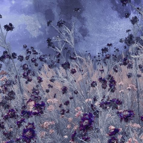 Violet Aesthetic, Gray Aesthetic, Aesthetic Background, Purple Orchids, Purple Art, Pretty Designs, Night Aesthetic, Purple Aesthetic, Aesthetic Backgrounds