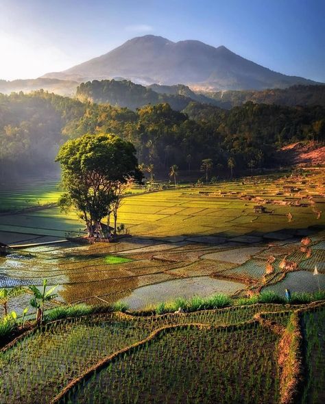 ⭐️Perfexionpix⭐️ on Instagram: “PRESENTS:  Photo shot by: @warmanwardhani  Location: #desabantaragung . Selected by: @jonita.young Tag: #perfexionpix #pfp_warmanwardhani…” Wonderful Nature, Nature Hd, Beautiful Nature, Bali, Nature Photography, The Selection, Indonesia, Wonder, Natural Landmarks