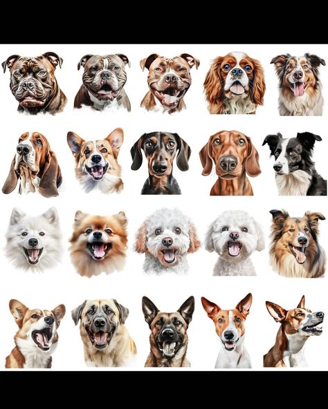 🐶🐕🐩 100+ Dog Breeds Clipart Bundle! 🐩🐕🐶 🛍️Shop Now! https://familycraftsvg.etsy.com/listing/1667308991 #digitalart #svgfiles #clipart #etsydownload #craftingsupplies #creativedesign #diyprojects #printableart #digitalart #digitaldesign #etsy #etsyshop #etsystore #diy #etsycommunity #dogsofinstagram #germanshepherd #frenchbulldog #cutedog Dog Caricature, Wild Animals Pictures, German Shepherd, French Bulldog, Animals Wild, Animal Pictures, Creative Design, Etsy Store, Dog Breeds