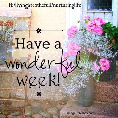 Have a wonderful week monday days of the week monday quotes happy monday have a… Happy New Week Quotes, Happy Monday Pictures, New Week Quotes, Monday Quote, Monday Inspirational Quotes, Monday Greetings, Monday Wishes, Have A Blessed Week, Happy Monday Quotes