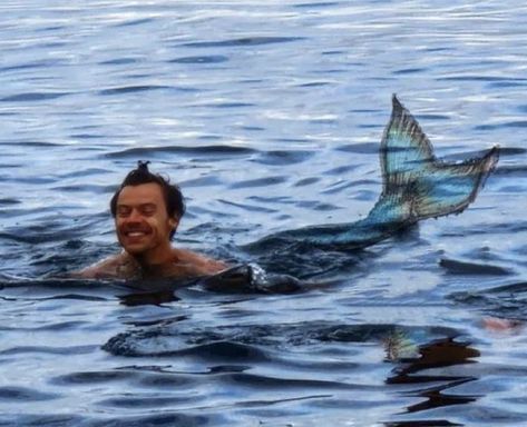 Harry Styles Mermaid, Mermaid Meme, Sunset Friends, Conan Gray, Harry Edward Styles, Edward Styles, Beach Lovers, Little Mermaid, Beach Sunset