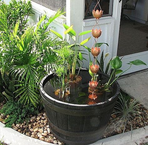 How to Make a Rain Chain Water Feature Rain Chain Water Feature, Make A Rain Chain, How To Make A Rain Chain, Rain Garden Design, Copper Rain Chains, Rain Chains, Backyard Water Feature, Rain Chain, Water Collection