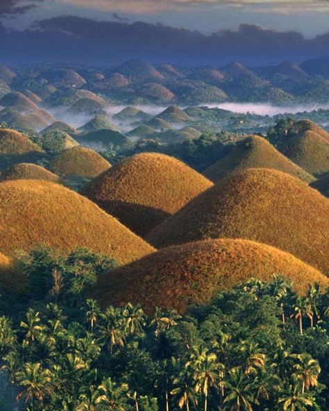 Chocolate Hills Philippines, Philippines Scenery, Chocolate Hills, Scenery Landscape, Bohol, Philippines Travel, Tourist Spots, Beautiful Places To Travel, Asia Travel