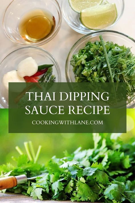 Discover the bold and irresistible flavors of Thailand with our authentic Nam Jim Jaew dipping sauce recipe Simple to make and ohsodelicious this Thai favorite is sure to become a staple in your kitchen Thai Dipping Sauce, Dip Sauce, Dipping Sauces Recipes, Asian Sauce, Thai Cooking, Taco Dip, Thai Dishes, Buffalo Chicken Dip, Asian Flavors