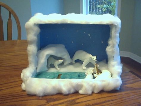 Arctic Diorama School Diorama, Habitat Project, Arctic Habitat, Biomes Project, Diorama Kids, Bear Habitat, Habitats Projects, Theme Preschool, Polar Animals