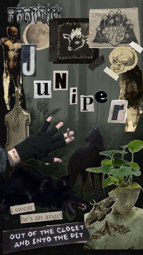 lil intro for myself :) #punk #scrapbook #maximalism #gothic #forest #dogkin Forest Punk, Gothic Forest, Maned Wolf, Mood Clothes, Maybe In Another Life, Punk Aesthetic, Wolf Wallpaper, Out Of The Closet, Wild Hair