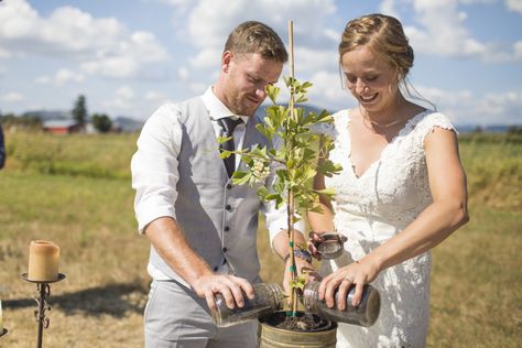 Tree Planting Ceremony, Tree Meanings, Tree Wedding Ceremony, Planting A Tree, Unity Sand Ceremony, Wedding Plants, Lucky Plant, Vow Renewal Ceremony, Wedding Tree