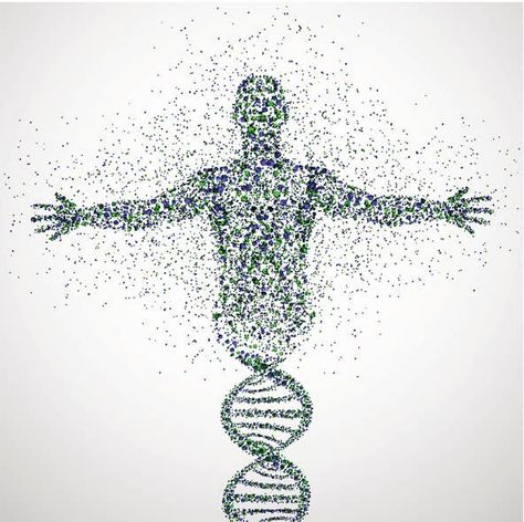 Today, your body is almost completely composed of different atoms than it was a year ago. Nutrition Wallpaper, Dna Molecule, Precision Medicine, Human Dna, Endocannabinoid System, Regenerative Medicine, Genetic Testing, Social Behavior, Adrenal Fatigue