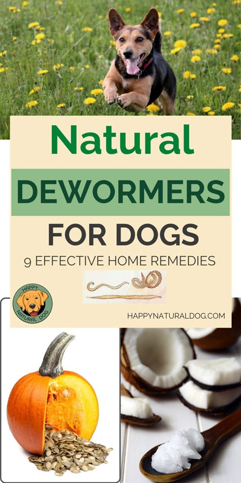 Tapeworms In Dogs, Natural Dewormer For Dogs, Deworming Dogs, Meds For Dogs, Worms In Dogs, Dog Remedies, Dog Health Tips, Natural Cough Remedies, Dog Care Tips