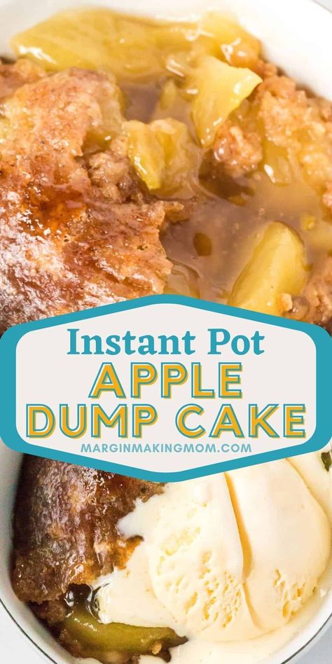 Instant Pot Dump Cake, Instant Pot Dump, Instant Pot Yogurt Recipe, Pressure Cooker Desserts, Apple Dump Cake, Pot Cakes, Cake Light, Pot Recipes Healthy, Apple Dump Cakes