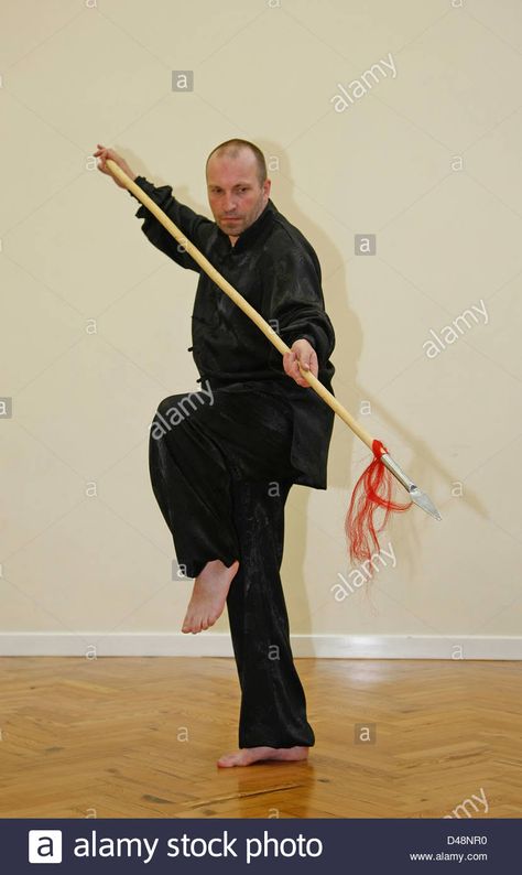 Spear Stance, Pose Reference, Martial Arts