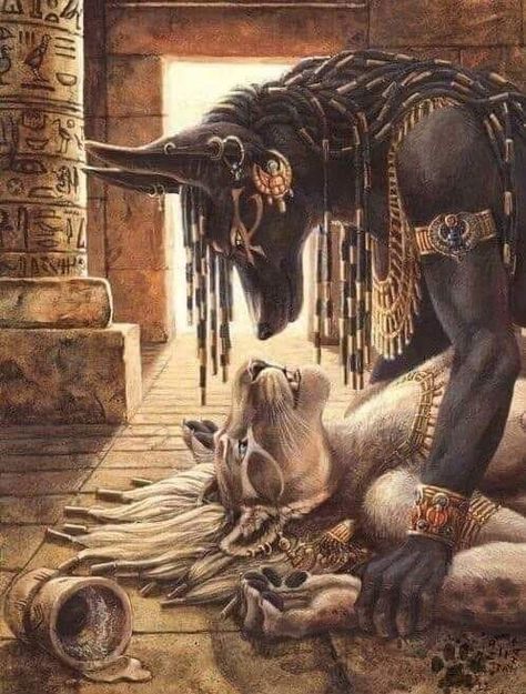 Egypt Concept Art, Ancient Egypt Gods, Human Animal, Modele Fitness, Ancient Egyptian Gods, Ancient Egypt Art, Werewolf Art, Creatures Art, Egypt Art