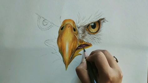 Hello Everybody! Welcome back to Art Diarium❤ Today I am going to show you how to draw an Eagle (Sketching + coloring) with colored pencils. ♦Materials used – Brustro Sketch Paper white / Measurement scale / 2B pencil & eraser / Faber castell colored pencil / Fixative Spray / Took time – 4h 10m ♦SNS […] The post Easy! How to Draw a Bald Eagle Face appeared first on PaintingTube. Egale Drawing, Eagle Drawing Easy, Coloring With Colored Pencils, Eagle Sketch, Bald Eagle Art, Eagle Artwork, Colored Pencil Art Projects, Eagle Face, Eagle Drawing