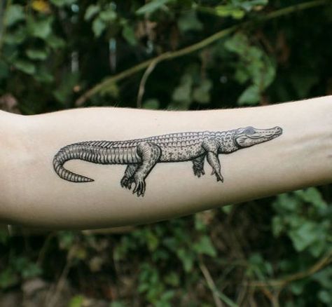 Alligator Tattoo Designs 7 Giant Lizard, Alligator Tattoo, Crocodile Tattoo, Lizard Tattoo, Tier Tattoo, Tattoo Nature, Nature Tattoo, Alligator Crocodile, Disney Tattoo