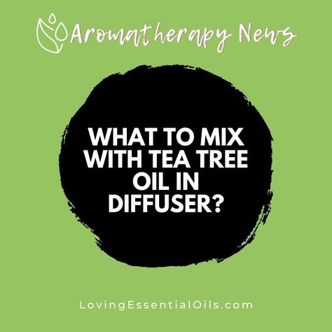 If you want to use Tea Tree oil in your diffuser, you may find it tricky to know which oils to mix with it. Mixing tea Tree oil with another essential oil can enhance the therap...  Learn more at Loving Essential Oils Oil For Cough, Green Witchery, Tee Tree Oil, Tea Tree Oil Benefits, Marjoram Essential Oil, Essential Oils Kit, Mint Essential Oil, Essential Oils Collection, Essential Oil Safety