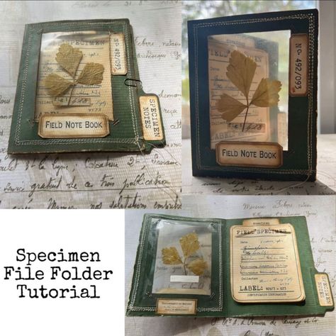 Craft Baked Studio on Instagram: Old medical record inspired specimen folders made with @traciefoxcreative labels. New video is up :) #specimen #vintage #junkjournal #junkjournalephemera #ephemera #vintage #filefolder #youtube #diy #tutorial #lovejunkjournals #craftbaked How To Make Specimen Cards, Specimen Cards Diy, Printable Specimen Cards, Free Printable Specimen Cards, Specimen Slides, Diy Mixed Media Art, Specimen Cards, Diy Ephemera, Field Notes Journal