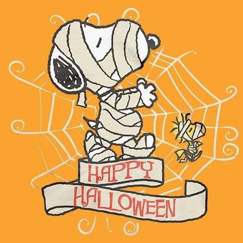 Peanuts Halloween, Charlie Brown Halloween, Snoopy Funny, Snoopy Halloween, Snoopy Images, Peanuts Cartoon, Snoopy Wallpaper, Snoopy Quotes, Snoopy Pictures