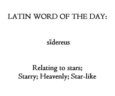 Learn Latin, Latin Quotes, Latin Phrases, Latin Word, Word Nerd, Unusual Words, Rare Words, Word Definitions, Latin Words