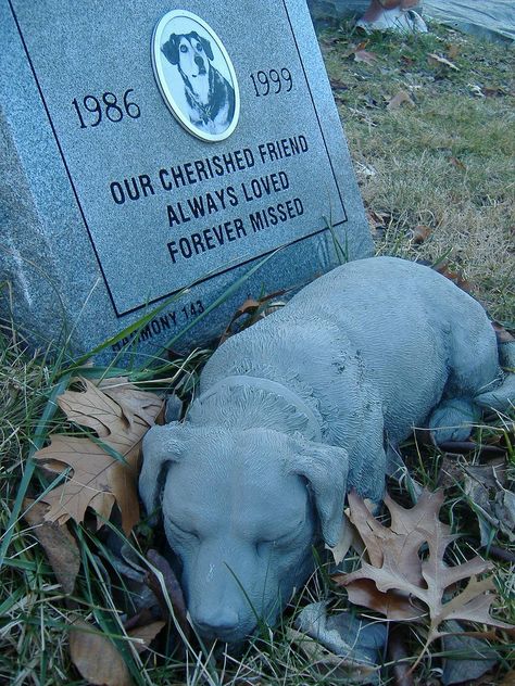 Pet Cemetary, Cemetery Monuments, Cemetery Statues, Pet Cemetery, Cemetery Headstones, Famous Graves, Old Cemeteries, Cemetery Art, After Life