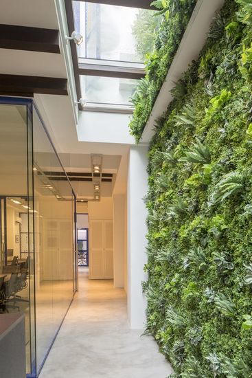 Renovation Facade, Vertical Green Wall, Narrow House Designs, Green Inspiration, Narrow House, Patio Interior, Wall Garden, Interior Garden, Living Wall