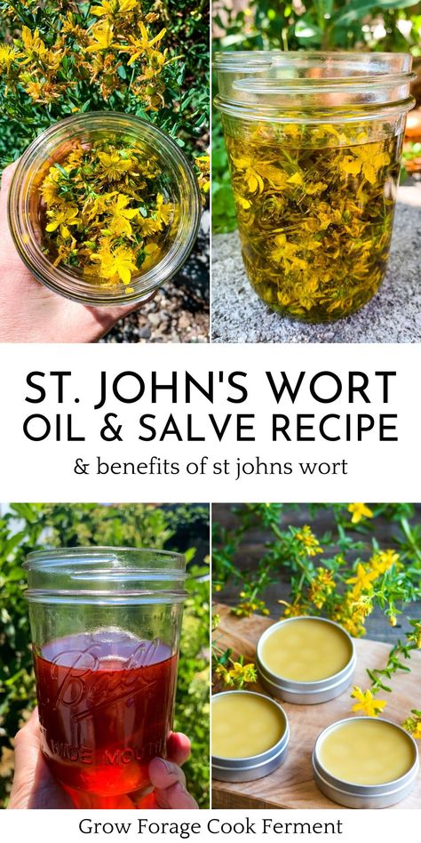 Herbal Salve Recipes, Pain Relief Salve, Healing Salve Recipe, Herbal Medicine Recipes, Herbal Remedies Recipes, Salve Recipes, Herbal Salves, Herb Recipes, Herbal Recipes