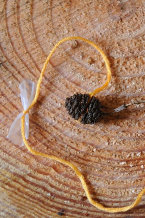 Kindling: Sweet little alder bee craft Bee Craft, Bee Activities, Wood School, Waldorf Crafts, Nature Projects, Cones Crafts, Forest School, Bee Crafts, Nature Crafts