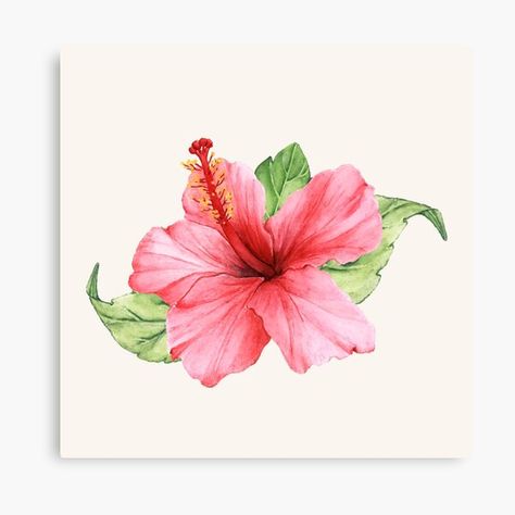 Puerto Rican Flower, Hibiscus Flower Tattoo, Leopard Artwork, Hibiscus Flower Tattoos, Pink Hibiscus Flower, Flower Sleeve, Flower Drawing Design, Pink Hibiscus, Flower Artwork