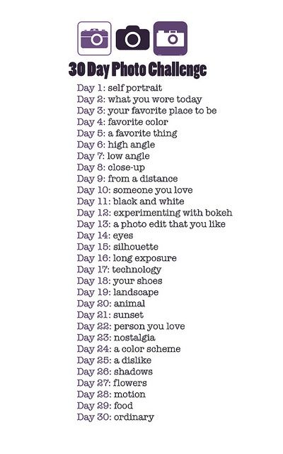 :) 30 Day Photography Challenge, 30 Day Photo Challenge, Active On Instagram, Photo A Day Challenge, Spotify Premium, Day Photography, Monthly Photos, Foto Tips, Photography Challenge