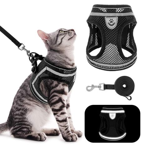 Pet Supplies : PUPTECK Breathable Cat Harness and Leash Set - Escape Proof Cat Vest Harness, Reflective Adjustable Soft Mesh Kitty Puppy Harness, Easy Control for Outdoor Walking : Amazon.com Kitten Harness, Cat Harness And Leash, Cat Walking, Harness And Leash Set, Walking Harness, Adventure Cat, Vest Harness, Puppy Harness, Cat Backpack