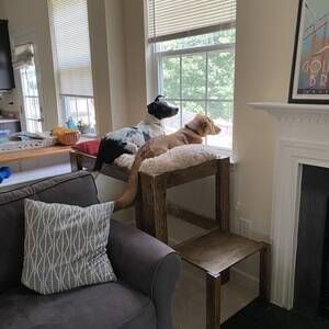 Elevated Dog Bed - RYOBI Nation Projects Elevated Dog Bed For Window, Dog Bed Window Bench, Window Seats For Dogs, Diy Dog Perch, Dog Bed By Window, Dog Window Perch Diy, Dog Furniture Bed, Diy Dog Perch Window Seats, Dog Bed Window Seat