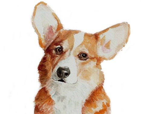 Corgi Watercolor, Corgi Portrait, Corgi Stuff, Art Crayon, Puppy Corgi, Corgi Drawing, Dog Corgi, Cute Corgi Puppy, Pembroke Welsh Corgi Puppies